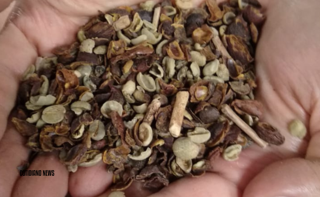 Mapa recolhe café das marcas Melissa, Pingo Preto e Oficial por impurezas e micotoxinas acima do limite. Saiba quais lotes foram reprovados.