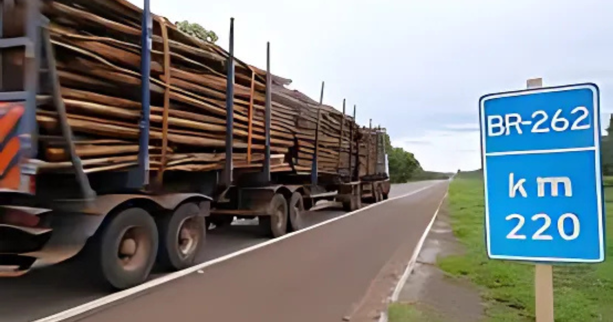 Quatro grandes grupos empresariais disputarão o leilão da Rota da Celulose, projeto de R$ 3,8 bilhões para modernização de rodovias em MS.