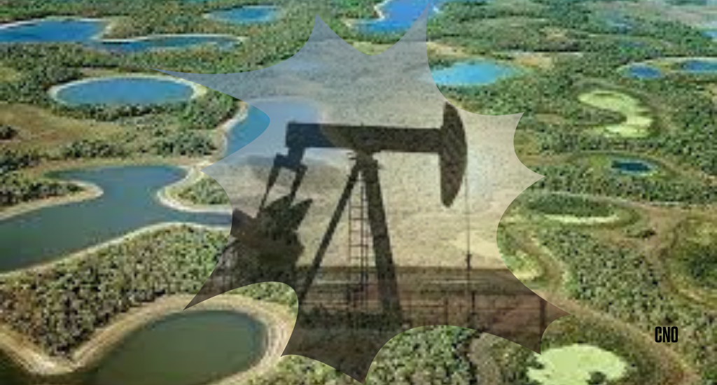 Leilão de petróleo da ANP tem baixa adesão: apenas 1 dos 21 blocos da Bacia de Parecis foi arrematado, poupando o Pantanal de riscos ambientais.