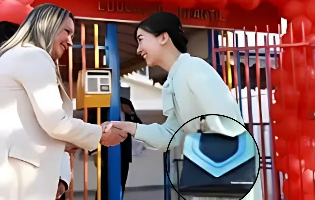 Bolsa artesanal de Mato Grosso do Sul, avaliada em R$ 3.600, ganha destaque no Japão ao ser usada por princesa. Design regional valoriza economia criativa.