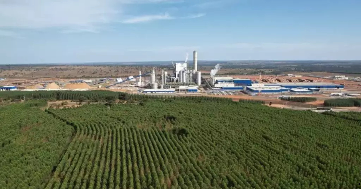 Boom da celulose eleva preços de terras em MS em até 62,7%. Investimentos de R$ 50 bilhões da Suzano e Arauco atraem capital estrangeiro para o estado.