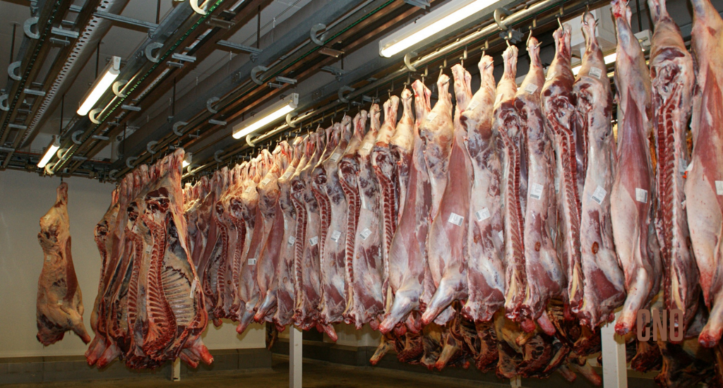 Frigoríficos de MS suspendem produção para EUA após tarifas de 50% de Trump. Estado busca Chile e Egito como alternativas para US$ 235,5 milhões.