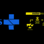 SUS MS incorpora DIU hormonal e desogestrel para endometriose gratuitamente. Estado lança Painel de Brucelose com vigilância integrada da "Saúde Única".