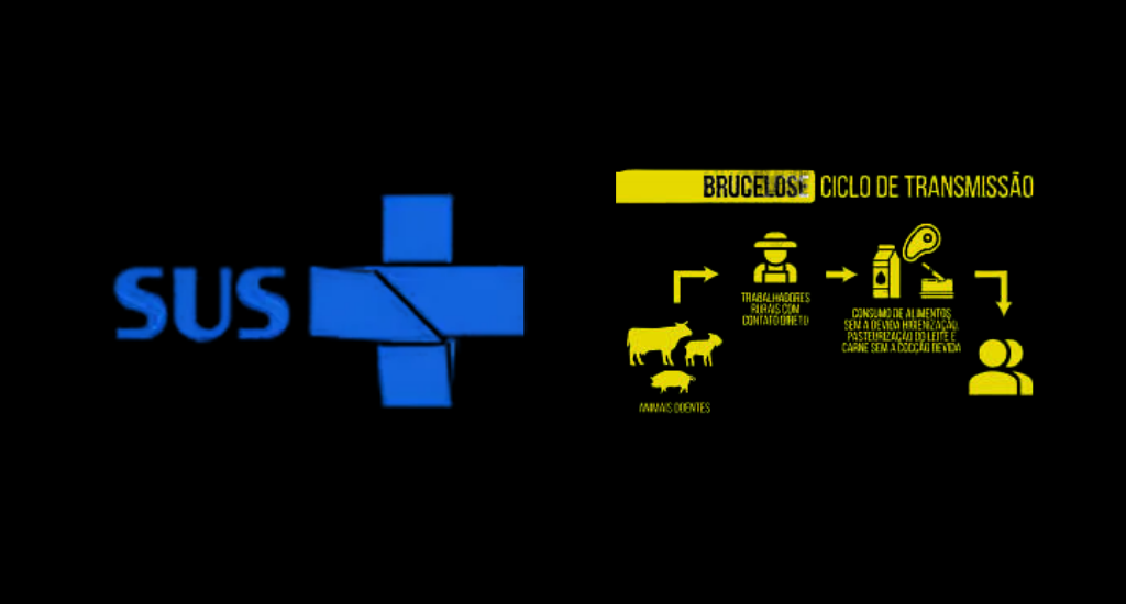 SUS MS incorpora DIU hormonal e desogestrel para endometriose gratuitamente. Estado lança Painel de Brucelose com vigilância integrada da "Saúde Única".