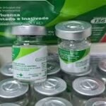 MS vacina 77 mil pessoas contra influenza em plano emergencial. Campanha intensiva responde a cenário epidemiológico crítico com alta adesão popular.