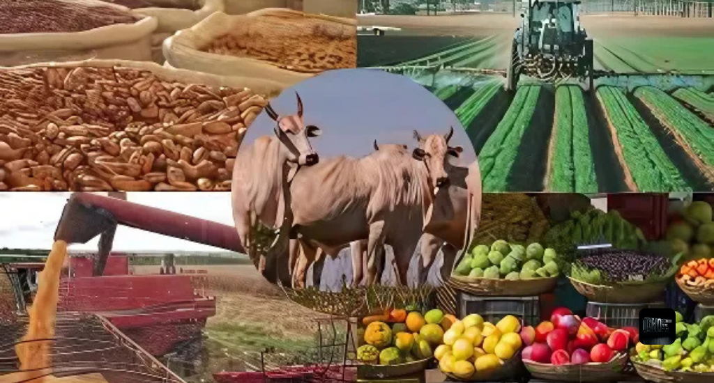 Agronegócio de MS enfrenta tarifas americanas e escassez de mão de obra. Setor articula estratégias para manter competitividade no mercado internacional.