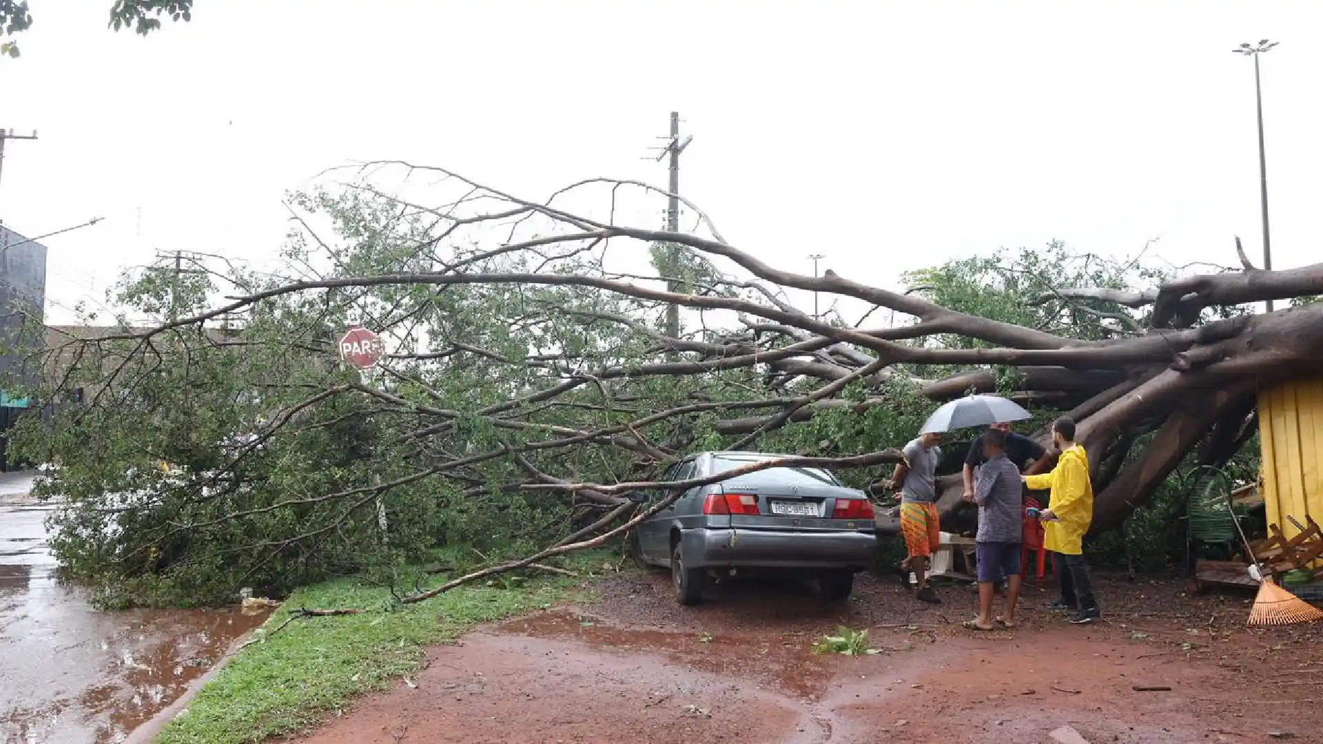 Temporal em Campo Grande: 55,2 mm de chuva e ventos de 87 km/h deixam árvores caídas, casas alagadas e ruas intransitáveis. Previsão indica mais chuva.